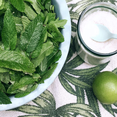 Ingrédients pour un sirop de menthe fraice bio fait maison sur Swanege Rose Le Blo