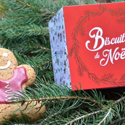 Biscuits-de-Noël-sur-Swanee-Rose-le-blog